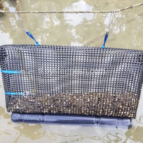 9mm Diamond at Square Hard Oyster Floating Cages